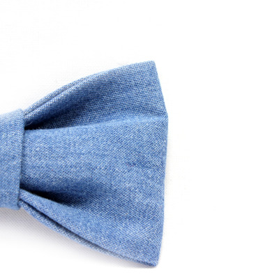 The sandy - youth bow-tie