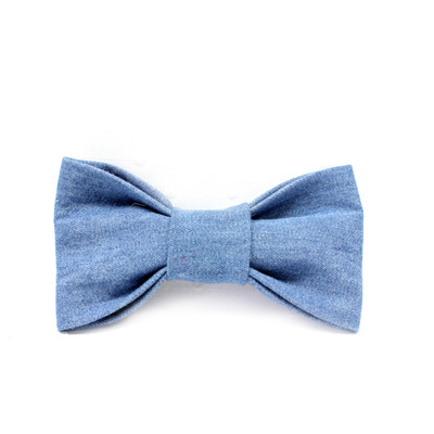 The sandy - youth bow-tie