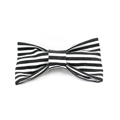 The beetle - youth bowtie