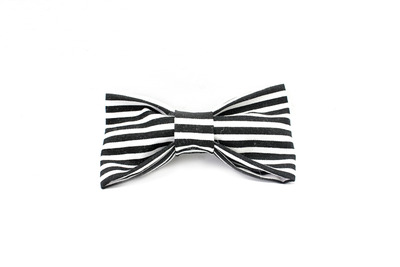 The Beetle - Youth Bowtie