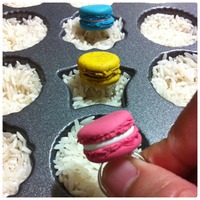 {Ring} French Macaron - Thumbnail 1