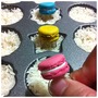 {Ring} French Macaron-1