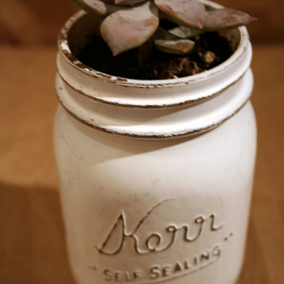 Vintage style matte white mason jar and succulent