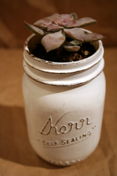 Vintage Style Matte White Mason Jar and Succulent