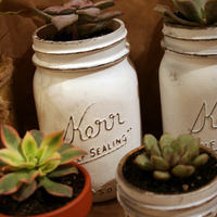 Vintage Style Matte White Mason Jar and Succulent - Thumbnail 3