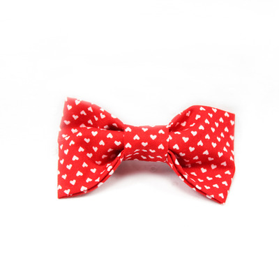 The lover - youth bowtie