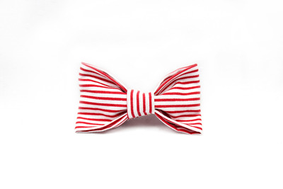 The Cane - Youth Bowtie