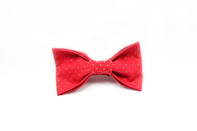 The Glenda - Youth Bowtie