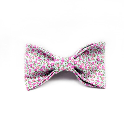 The darcy - youth bow-tie