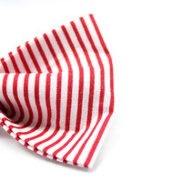 The Cane - Hair Bow - Thumbnail 1