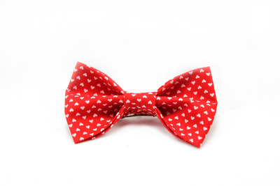 The Lover - Hair Bow