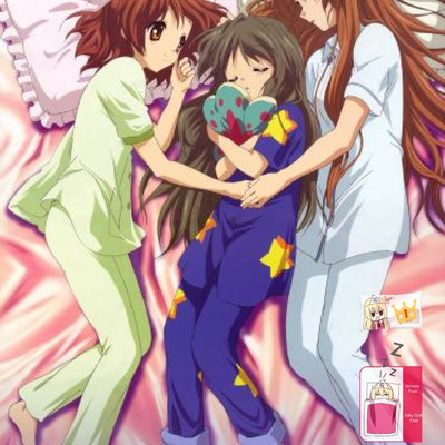 Brand new clannand japanese anime bed blanket 2