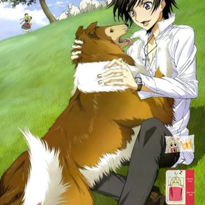 Brand new code geass japanese anime bed blanket 4