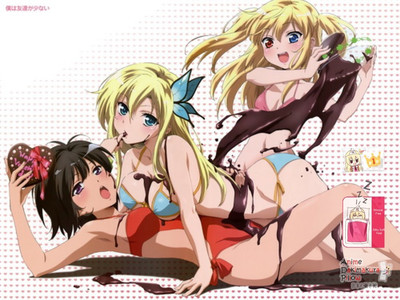 Brand New Haganai Japanese Anime Bed Blanket 2