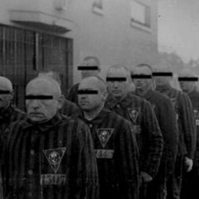 U-731 - by all means...  cd