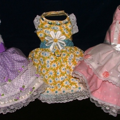 Portrait dress-style rr