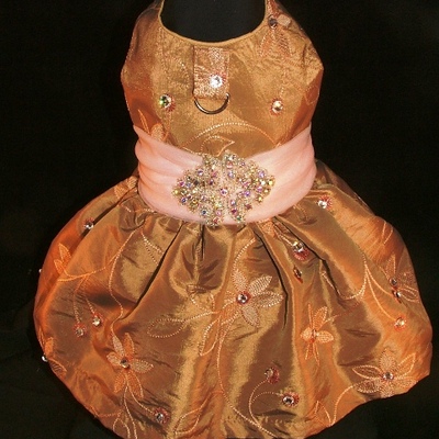 Portrait dress-style yy