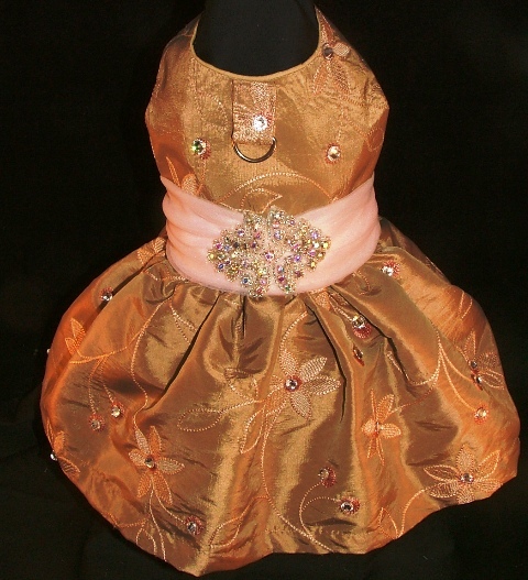 Portrait Dress-Style YY