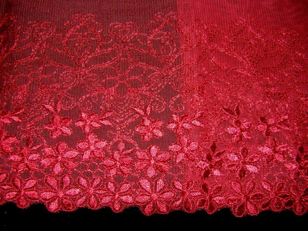 Lace Border 50