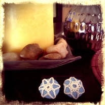 Brandeis Blue Lace earrings