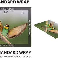 12" x 24" - Thumbnail 2