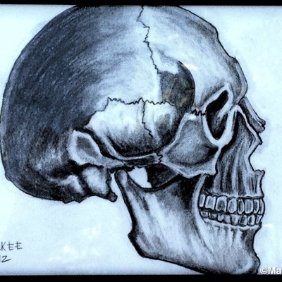 Marisol mckee art - "skull - study" - Thumbnail 4