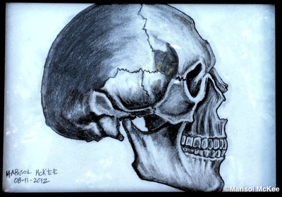 Marisol McKee Art - "Skull - Study"