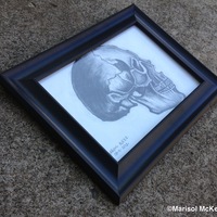 Marisol McKee Art - "Skull - Study" - Thumbnail 1