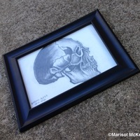 Marisol McKee Art - "Skull - Study" - Thumbnail 2
