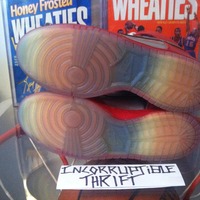 Mork & Mindy Sample Nike SBs - Thumbnail 1