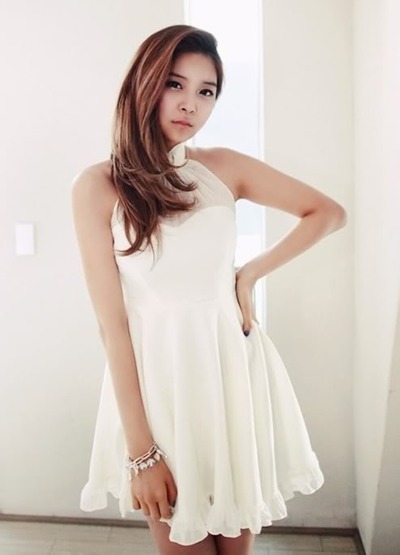 Retro net yarn flounced skirt dress