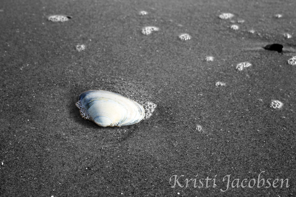 Washed Ashore 8x10