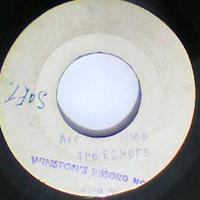 Matrix# FA 2256-3/2257-3-Are You Mine/I Love You Forever-The Echoes-7"-VG - Thumbnail 1