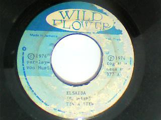 Elsaida/version-tinga stewart-wild flower records-7"-vg