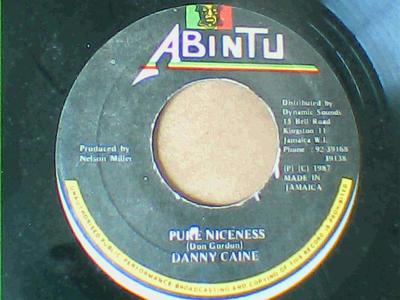 Pure niceness/version-danny caine-abintu records-7"-vg