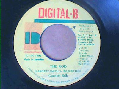 The rod/version-garnet silk-digital b records-7"-vg+