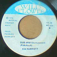 Never Fade Away/Dub-Kim Harriott-Wild Flower Records-7"-VG - Thumbnail 1