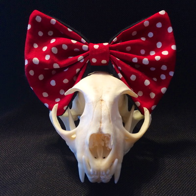 Red "minnie" polka dot bow