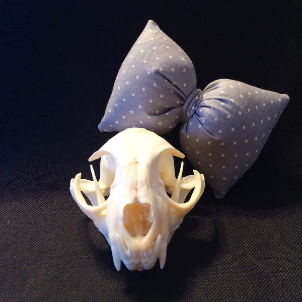 Stuffed Grey Polka Dot Bow