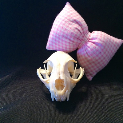 Stuffed pink checkered flannel bow
