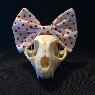 White polka dot bow