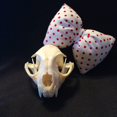 Stuffed white polka dot bow