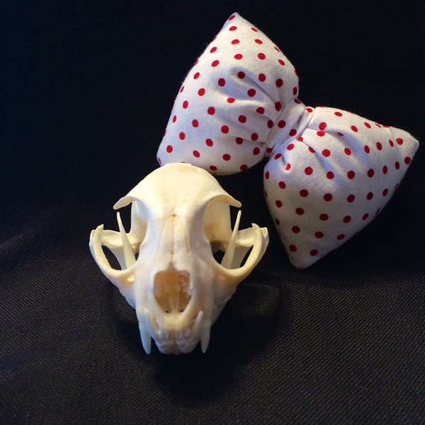 Stuffed White Polka Dot Bow