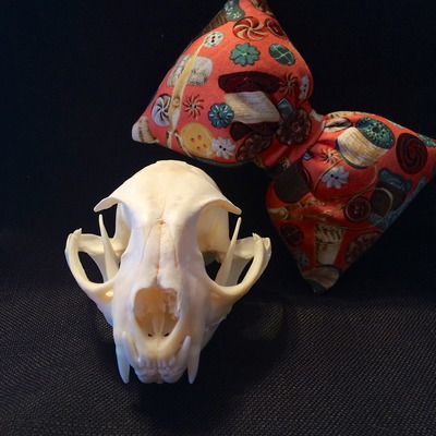 Stuffed "sew adorable" bow