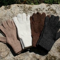 Alpaca All Terrain Gloves