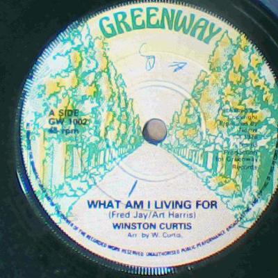 What am i living for/endlessly-winston curtis-greenway records-7"-vg