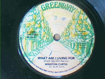What am i living for/endlessly-winston curtis-greenway records-7"-vg