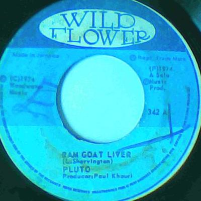 Ram goat liver/ram goat version-pluto shernington-wild flower records-7"-good