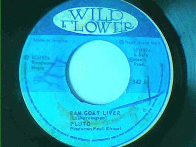 Ram goat liver/ram goat version-pluto shernington-wild flower records-7"-good