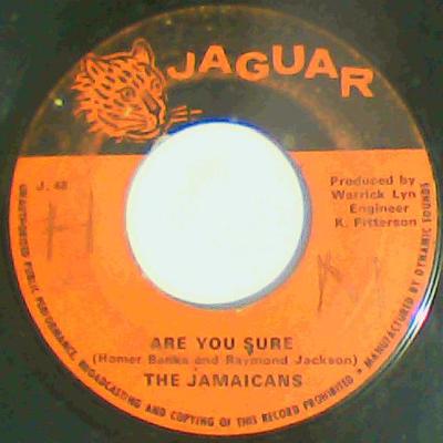 Are you sure/version-the jamaicans-jaguar records-7"-good